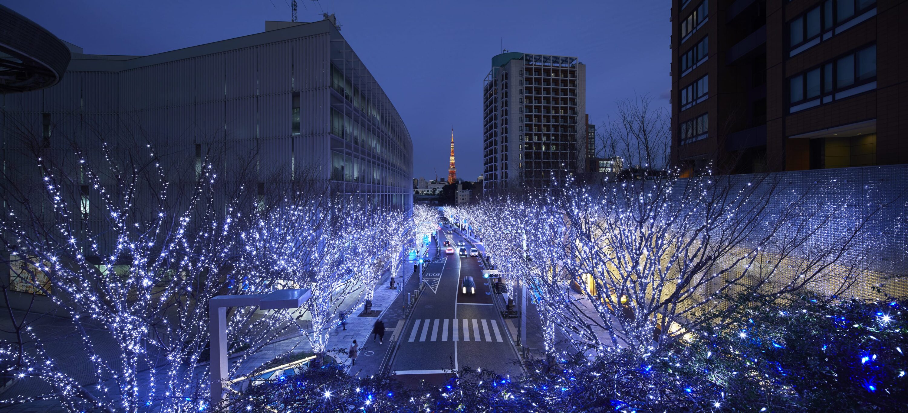 六本木ヒルズクリスマス2020