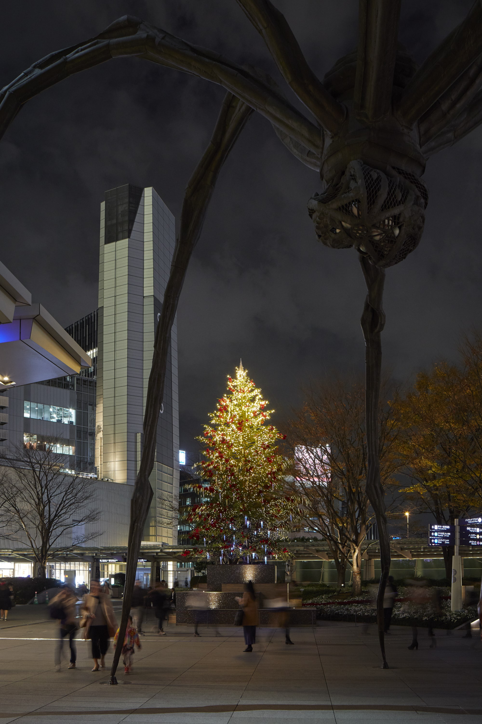 ROPPONGI HILLS CHRISTMAS 2018 66プラザイルミネーション