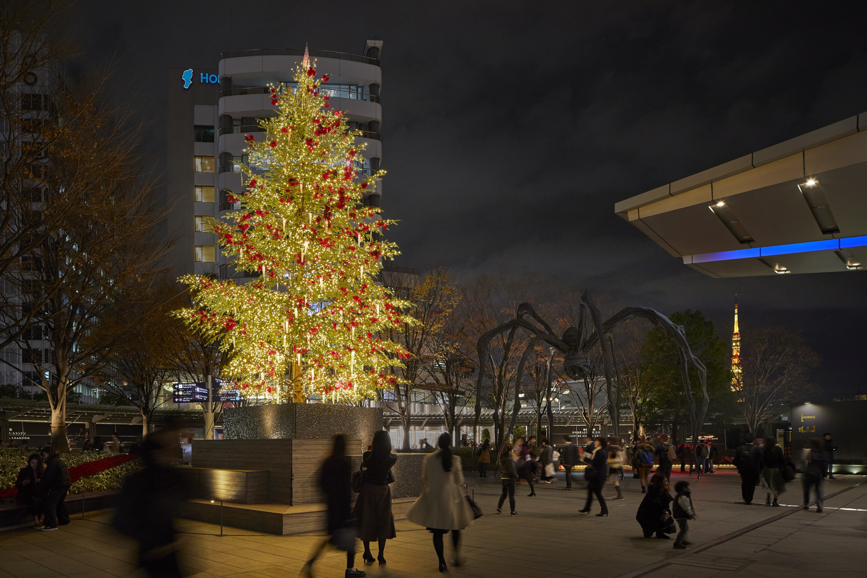 ROPPONGI HILLS CHRISTMAS 2018 66プラザイルミネーション