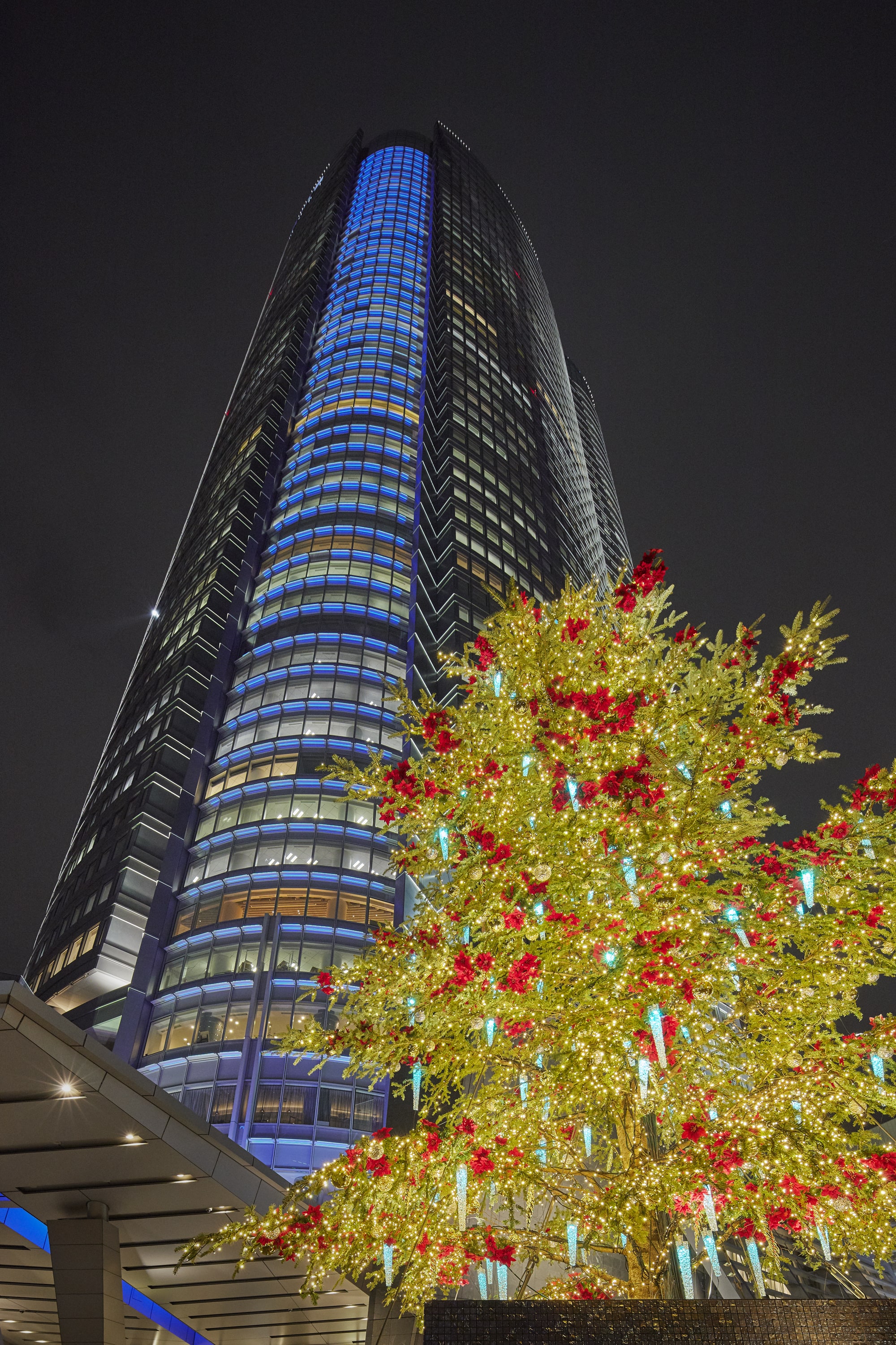 ROPPONGI HILLS CHRISTMAS 2018 66プラザイルミネーション