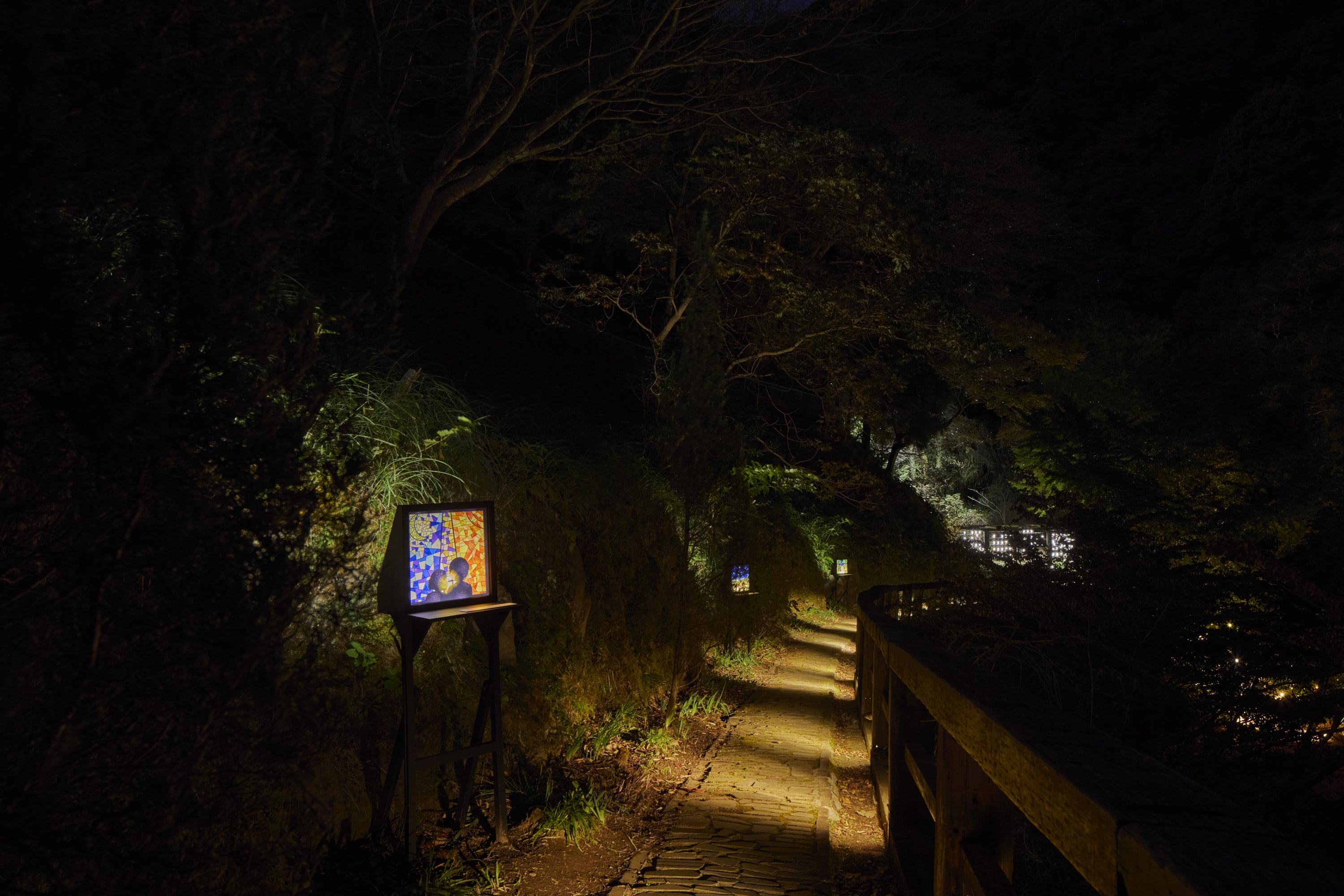 ACAO FOREST NIGHT WALK ～A PIECE OF THE SUN～