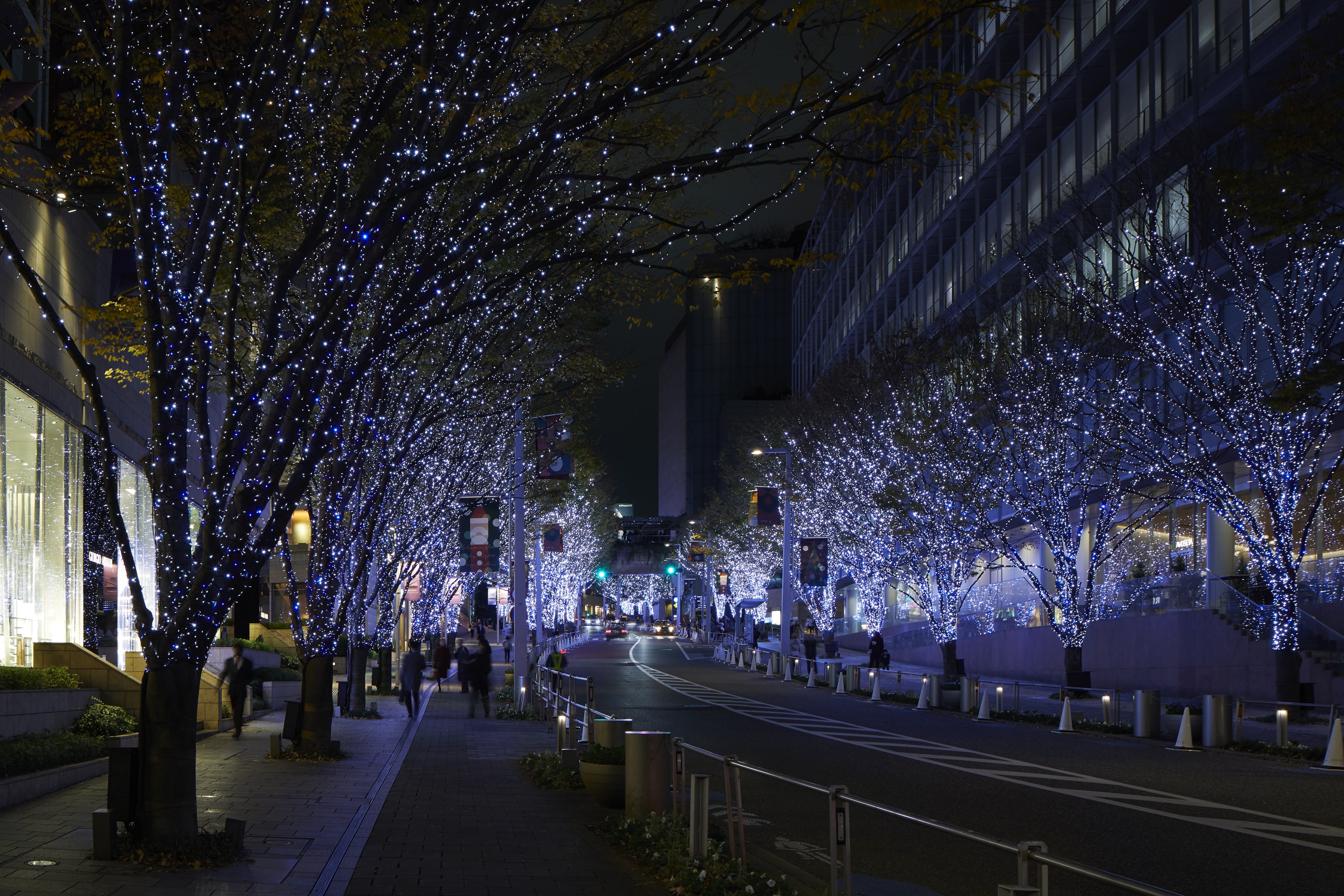 ROPPONGI HILLS CHRISTMAS 2018 けやき坂イルミネーション