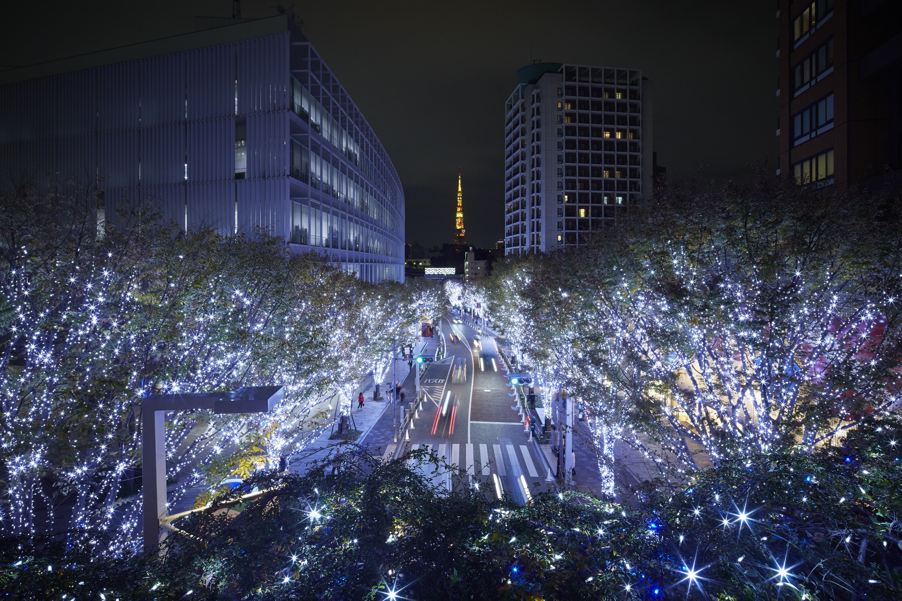 ROPPONGI HILLS CHRISTMAS 2018 けやき坂イルミネーション