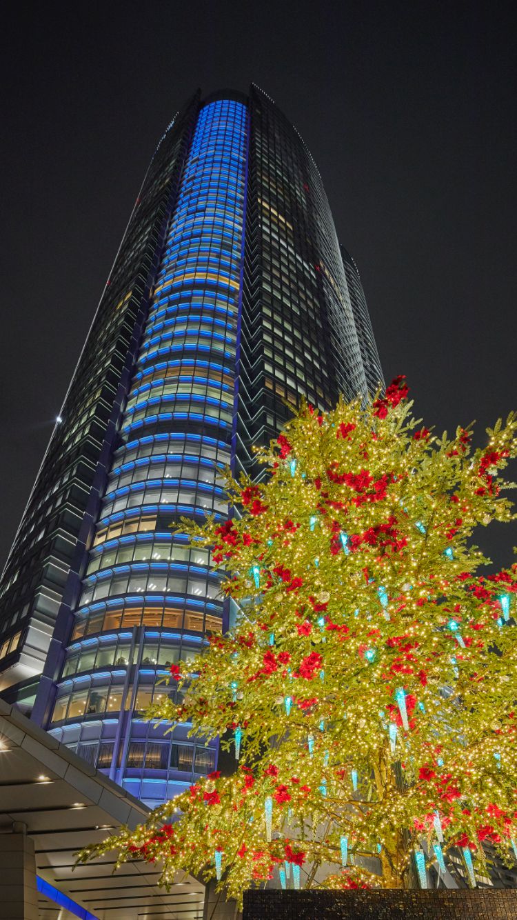 ROPPONGI HILLS CHRISTMAS 2018 66プラザイルミネーション