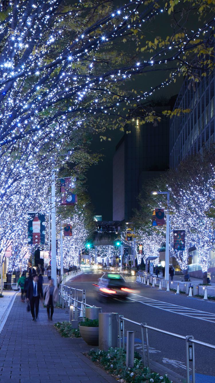 ROPPONGI HILLS CHRISTMAS 2018 けやき坂イルミネーション