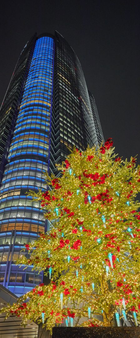 ROPPONGI HILLS CHRISTMAS 2018 66プラザイルミネーション
