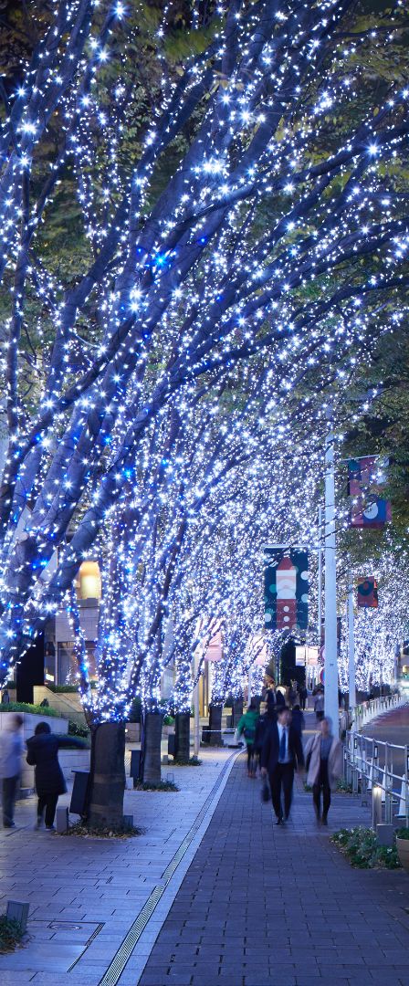 ROPPONGI HILLS CHRISTMAS 2018 けやき坂イルミネーション