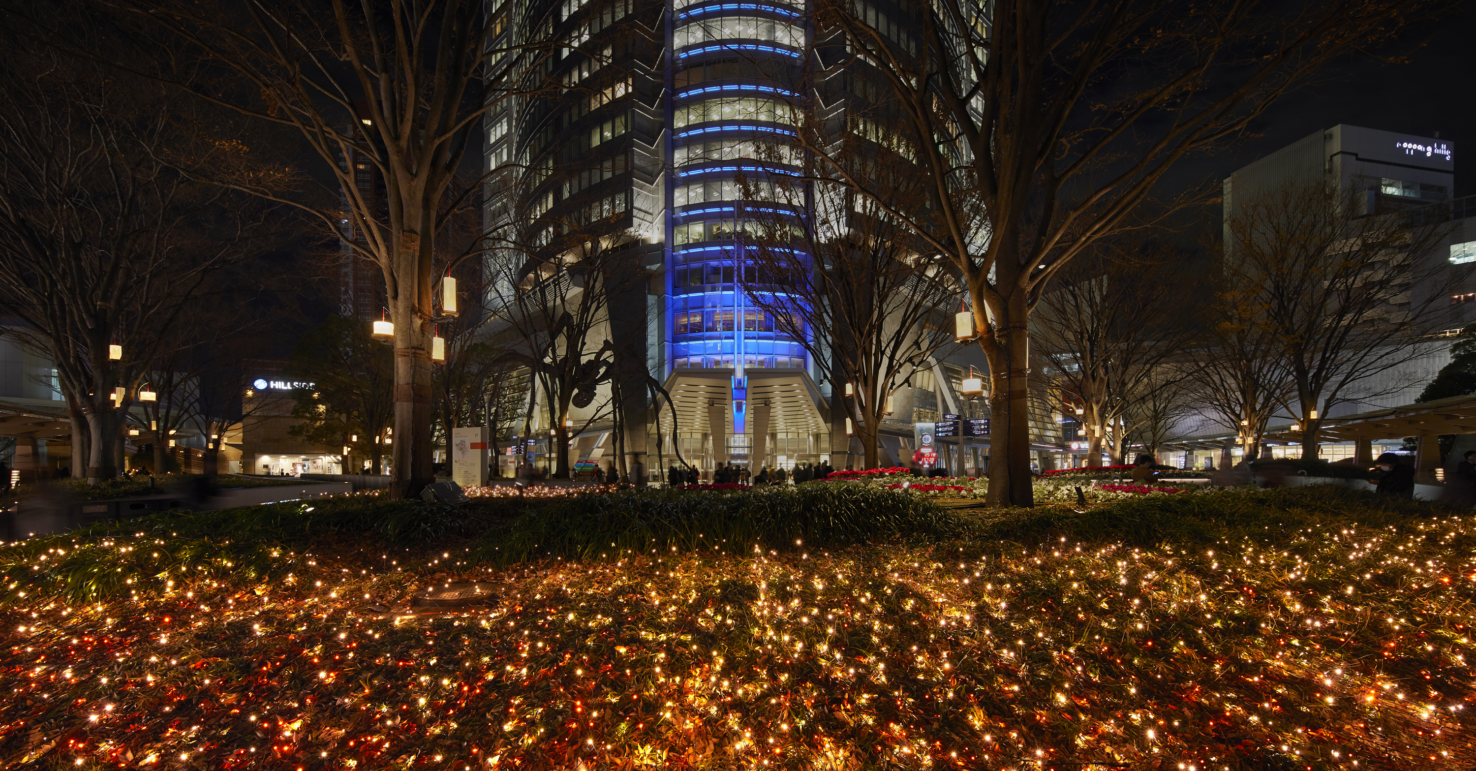 Roppongi Hills Christmas 2019　 66プラザイルミネーション