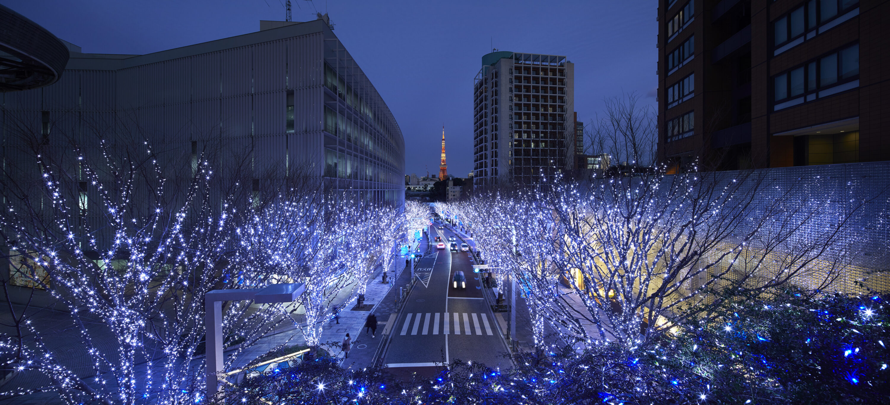 Roppongi Hills Christmas 2019 けやき坂イルミネーション