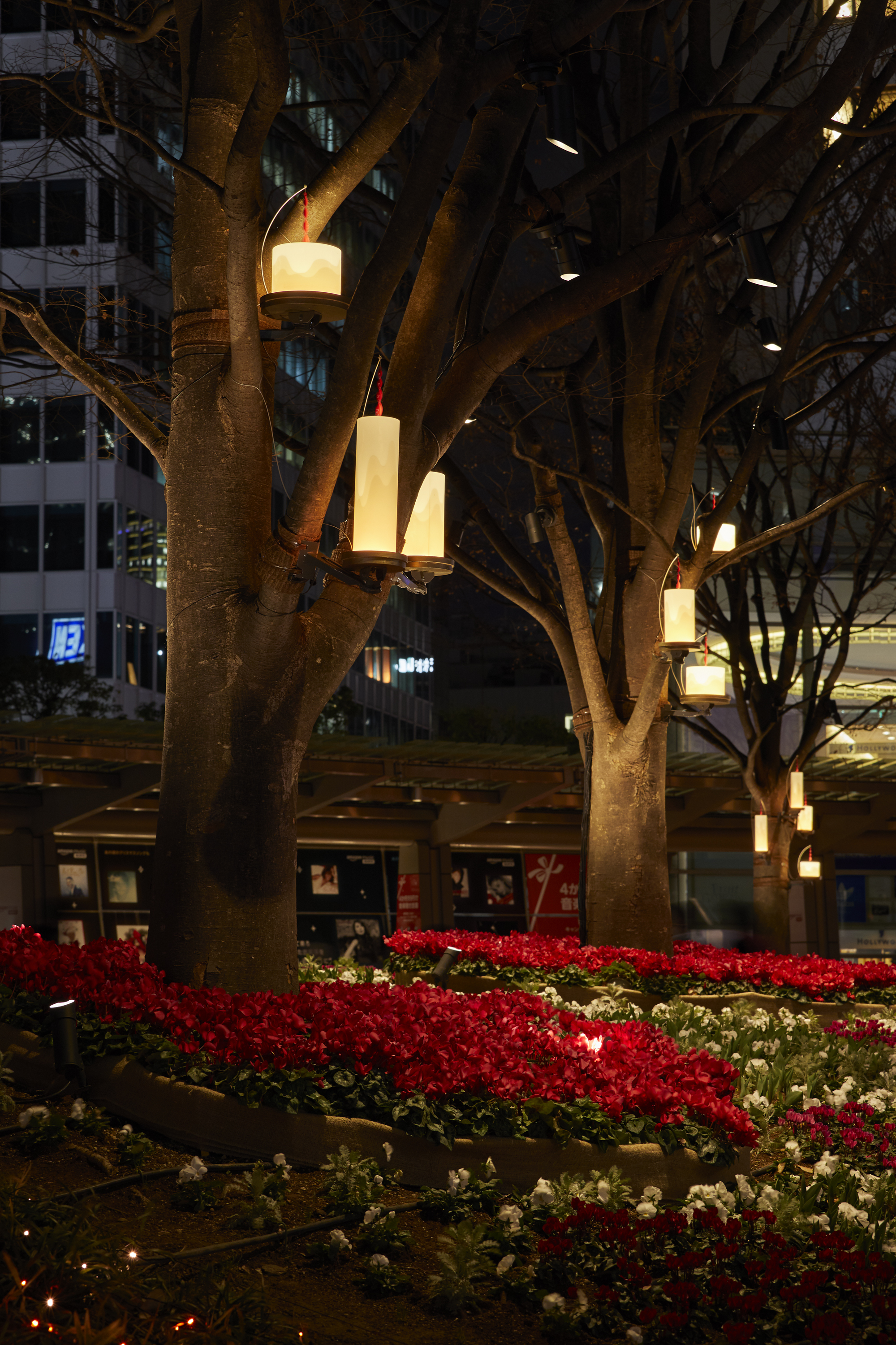 Roppongi Hills Christmas 2019　 66プラザイルミネーション