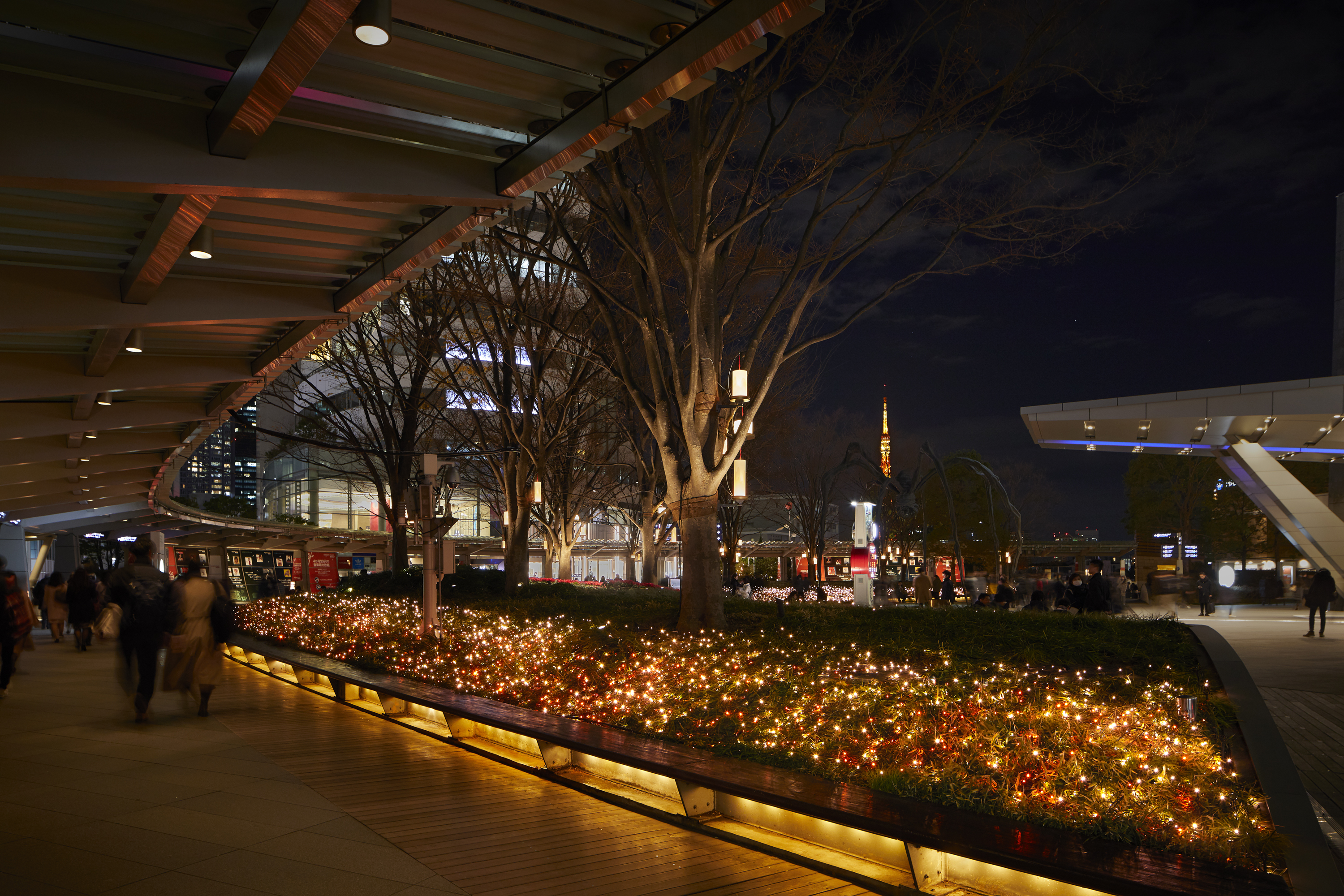 Roppongi Hills Christmas 2019　 66プラザイルミネーション