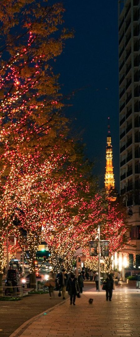 Roppongi Hills 10th Anniversary Christmas