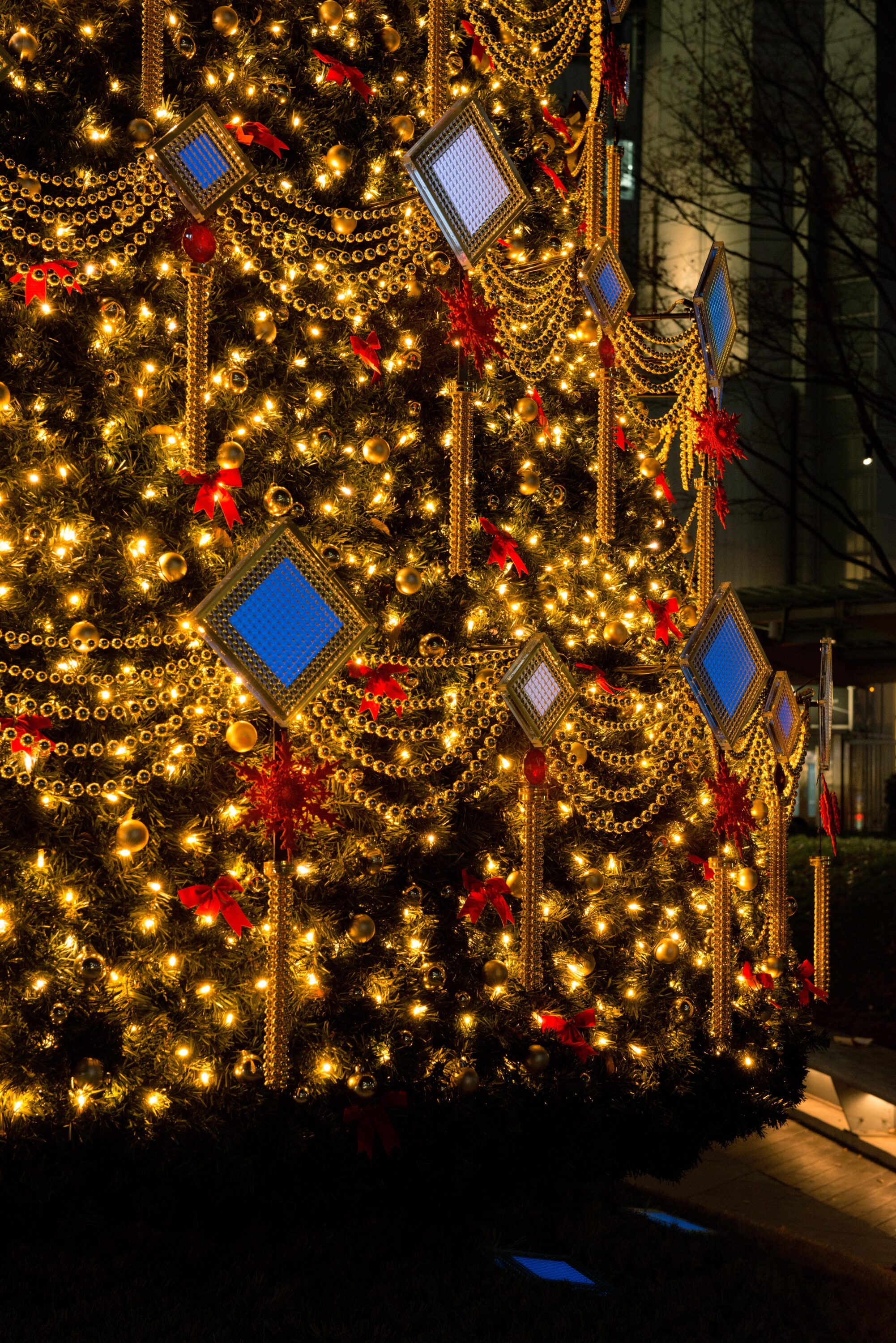 Roppongi Hills 10th Anniversary Christmas