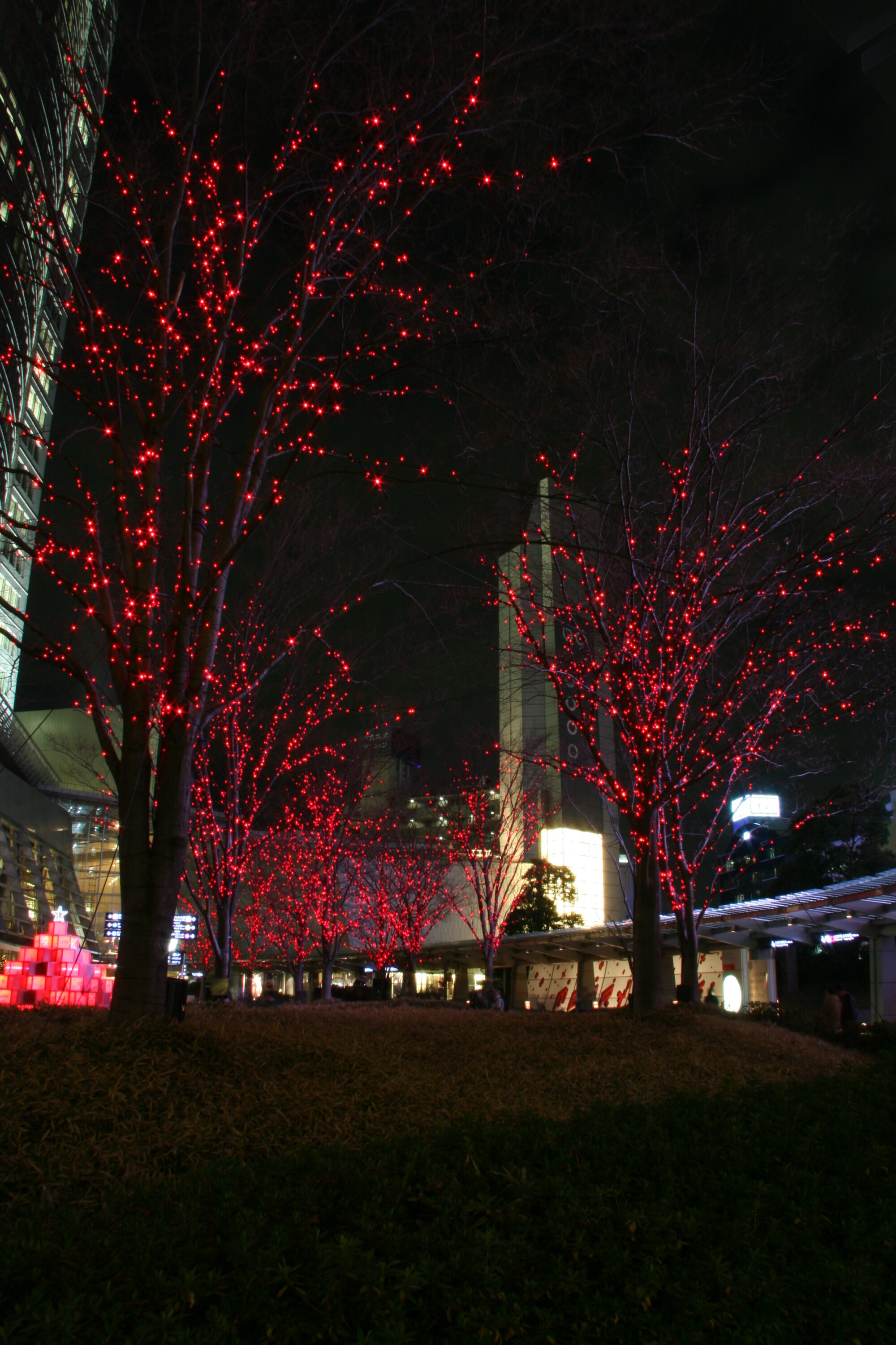 六本木ヒルズ　クリスマスイルミネーション　2007