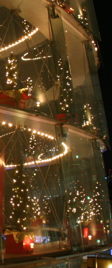 Artelligent Christmas in Roppongi hills (66plaza/Mohri garden）2008