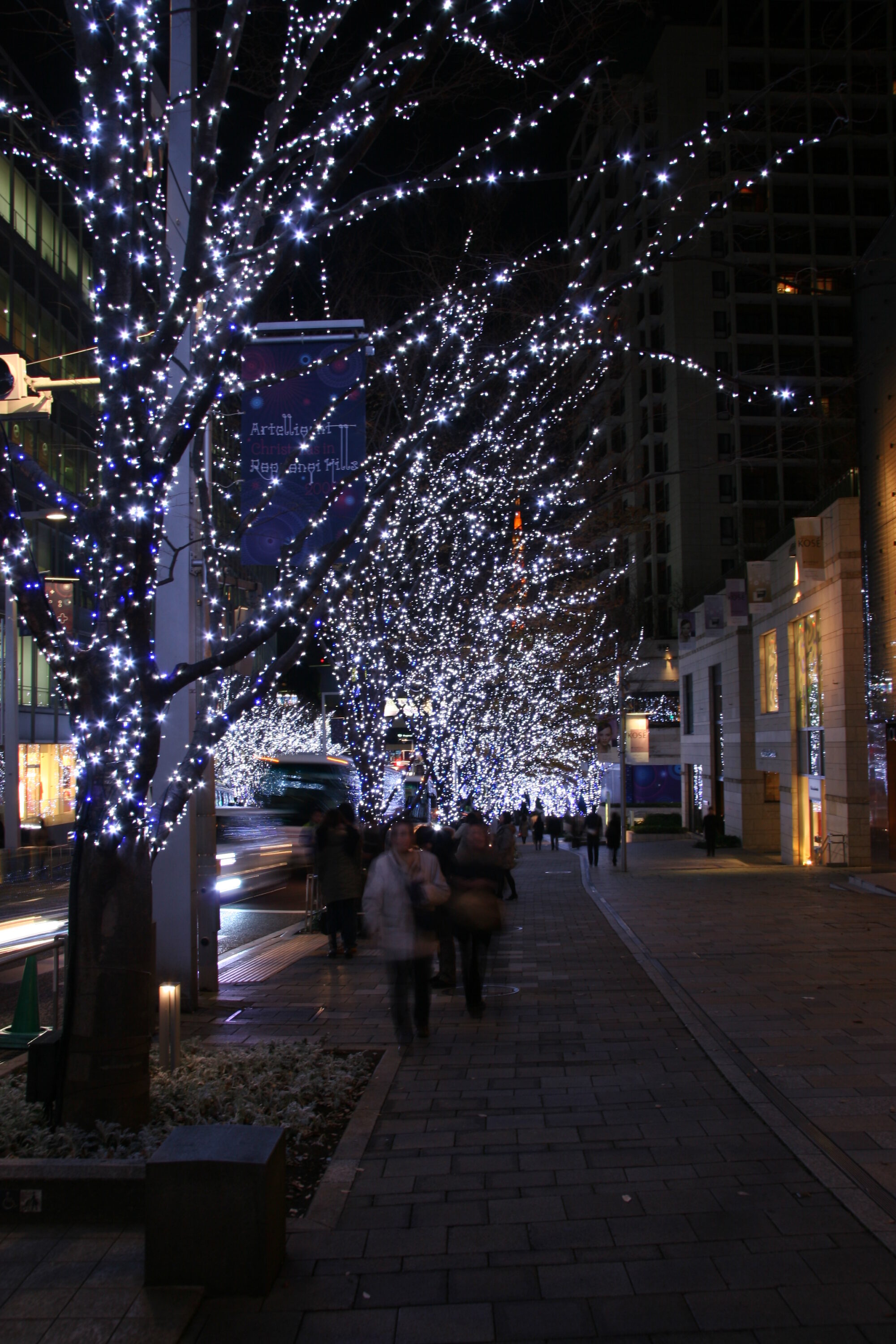 Artelligent Christmas in Roppongi hills (66plaza/Mohri garden）2008