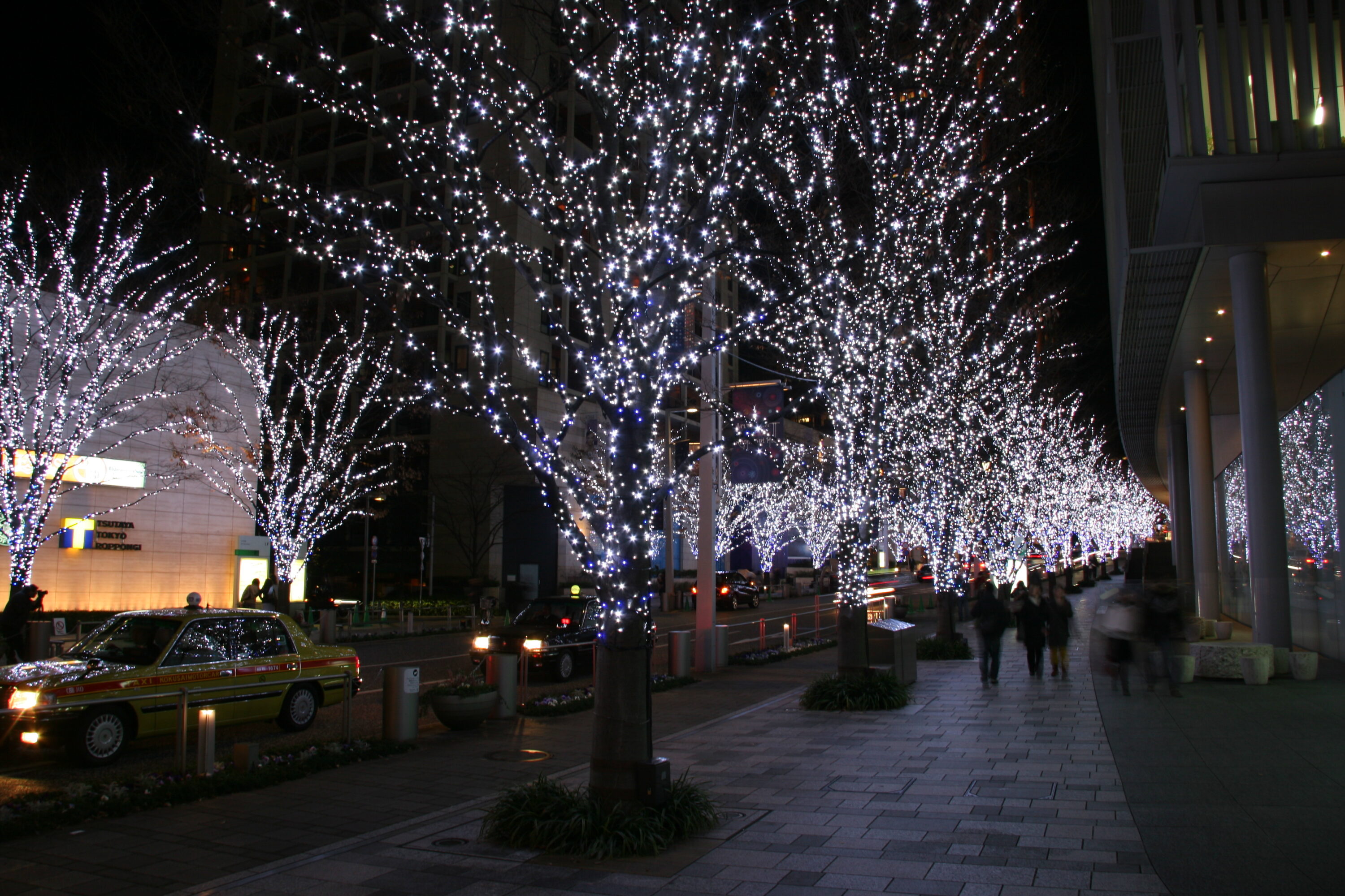 Artelligent Christmas in Roppongi hills (66plaza/Mohri garden）2008