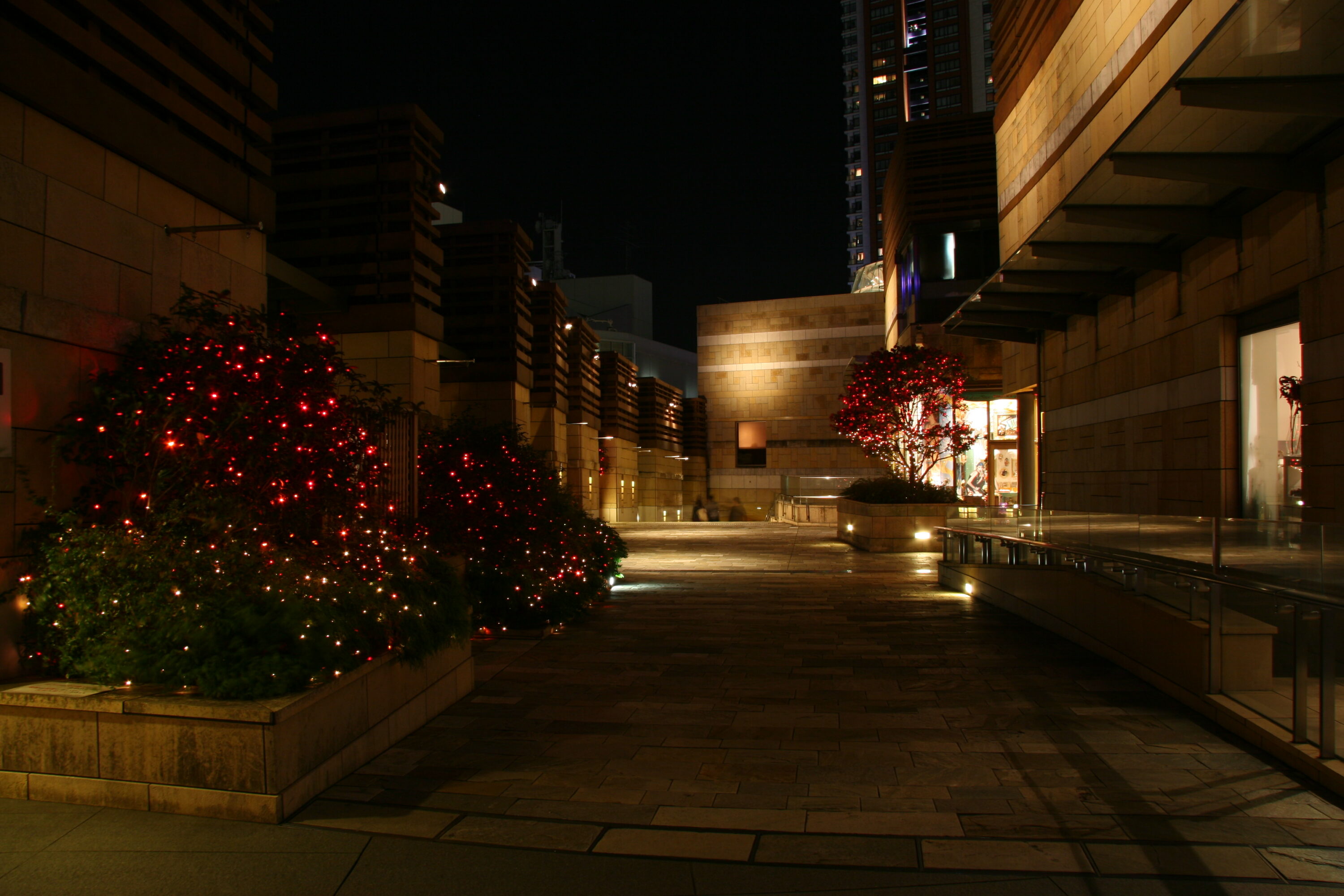 Artelligent Christmas in Roppongi hills (66plaza/Mohri garden）2008