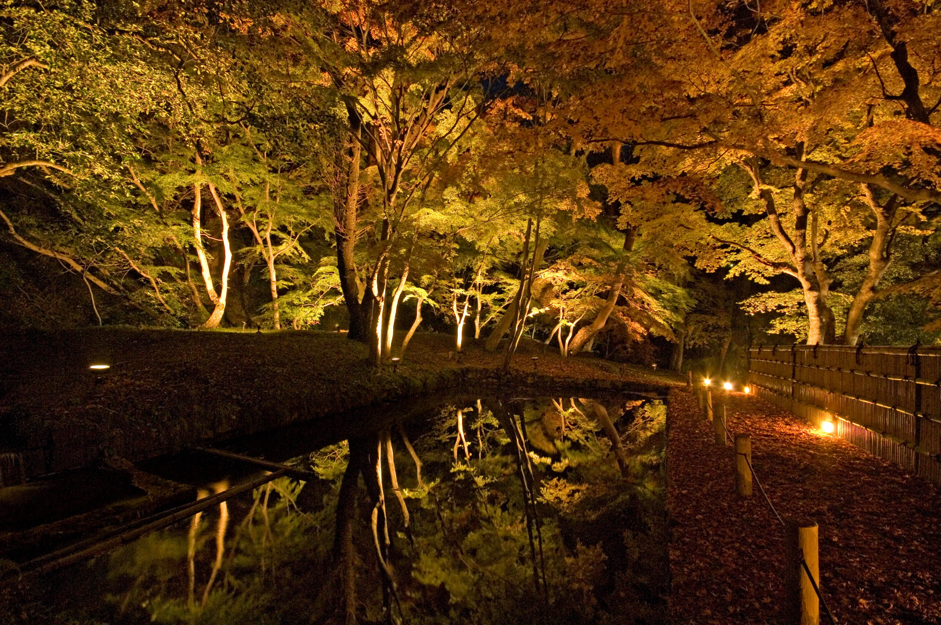 霞ヶ城公園ライトアップ整備工事　2006