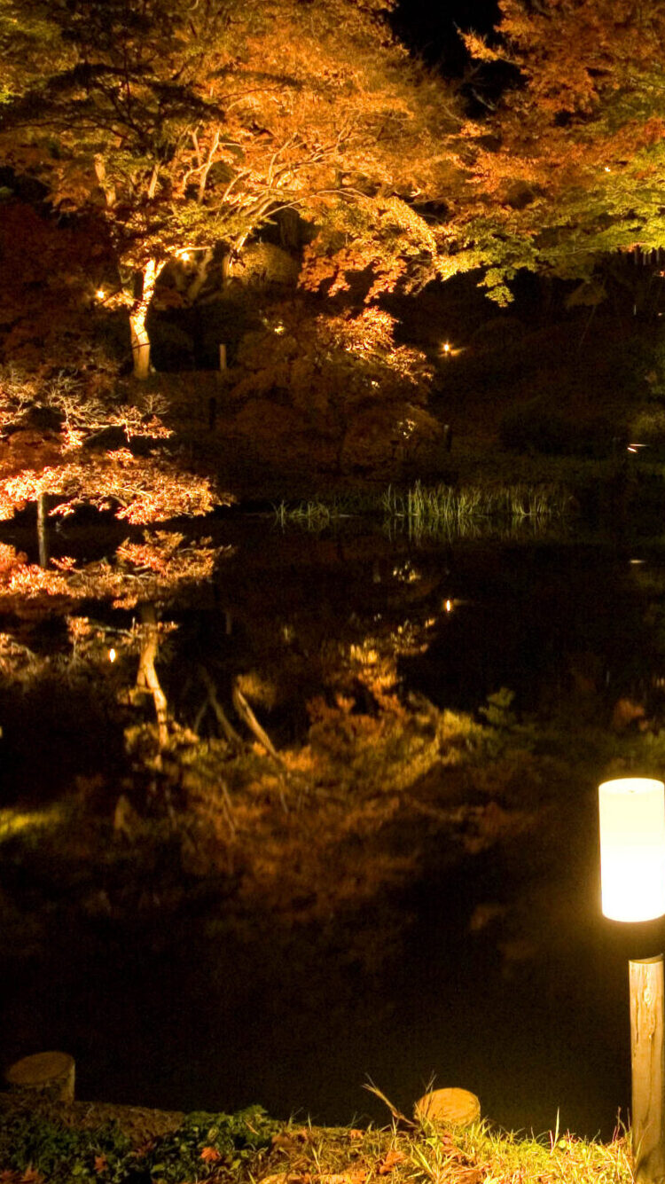 霞ヶ城公園ライトアップ整備工事 2006