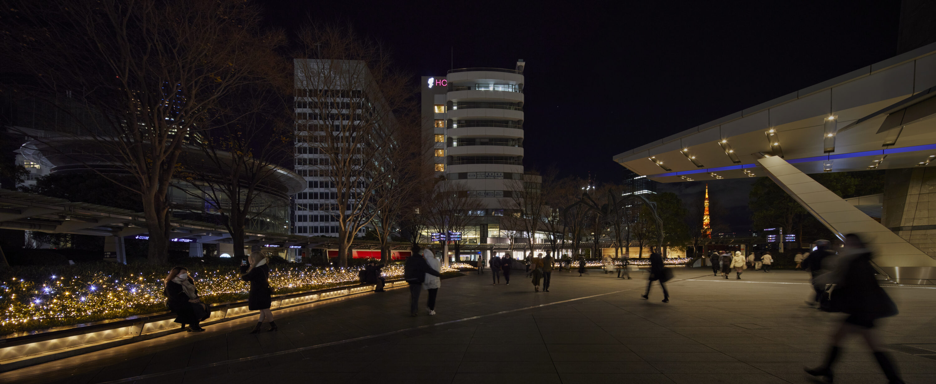 六本木ヒルズクリスマス2022　66プラザイルミネーション