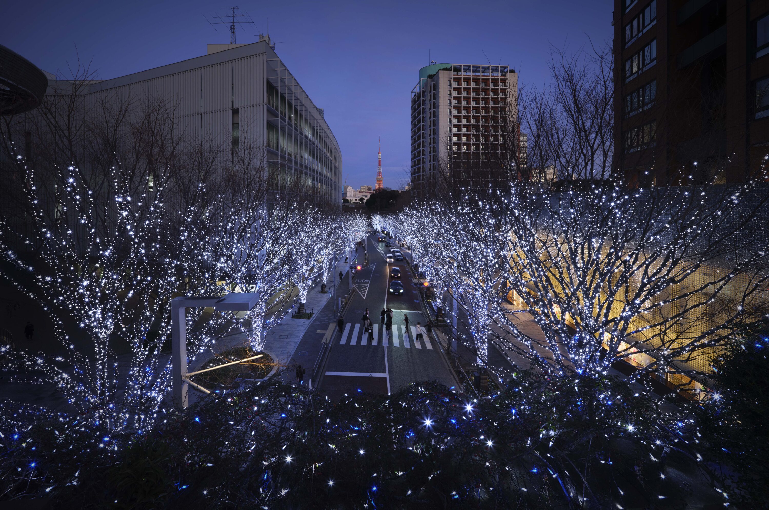 六本木ヒルズクリスマス2024