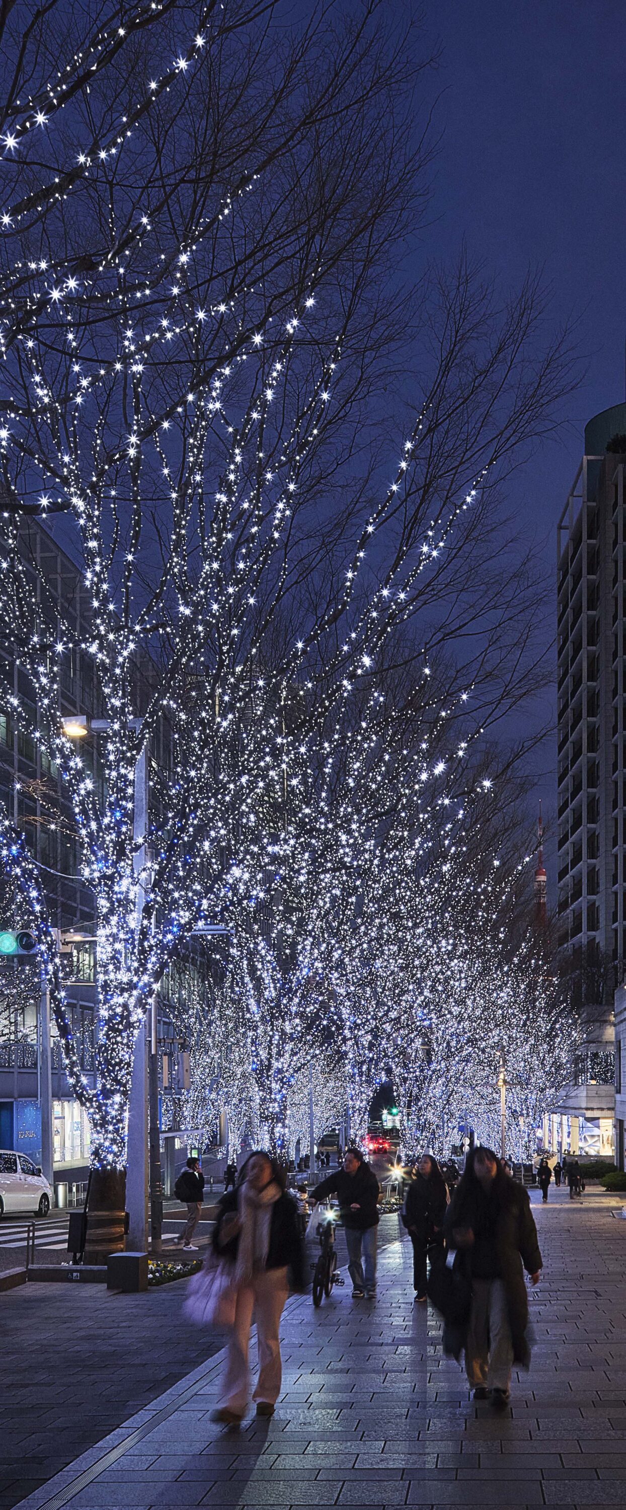 六本木ヒルズクリスマス2024