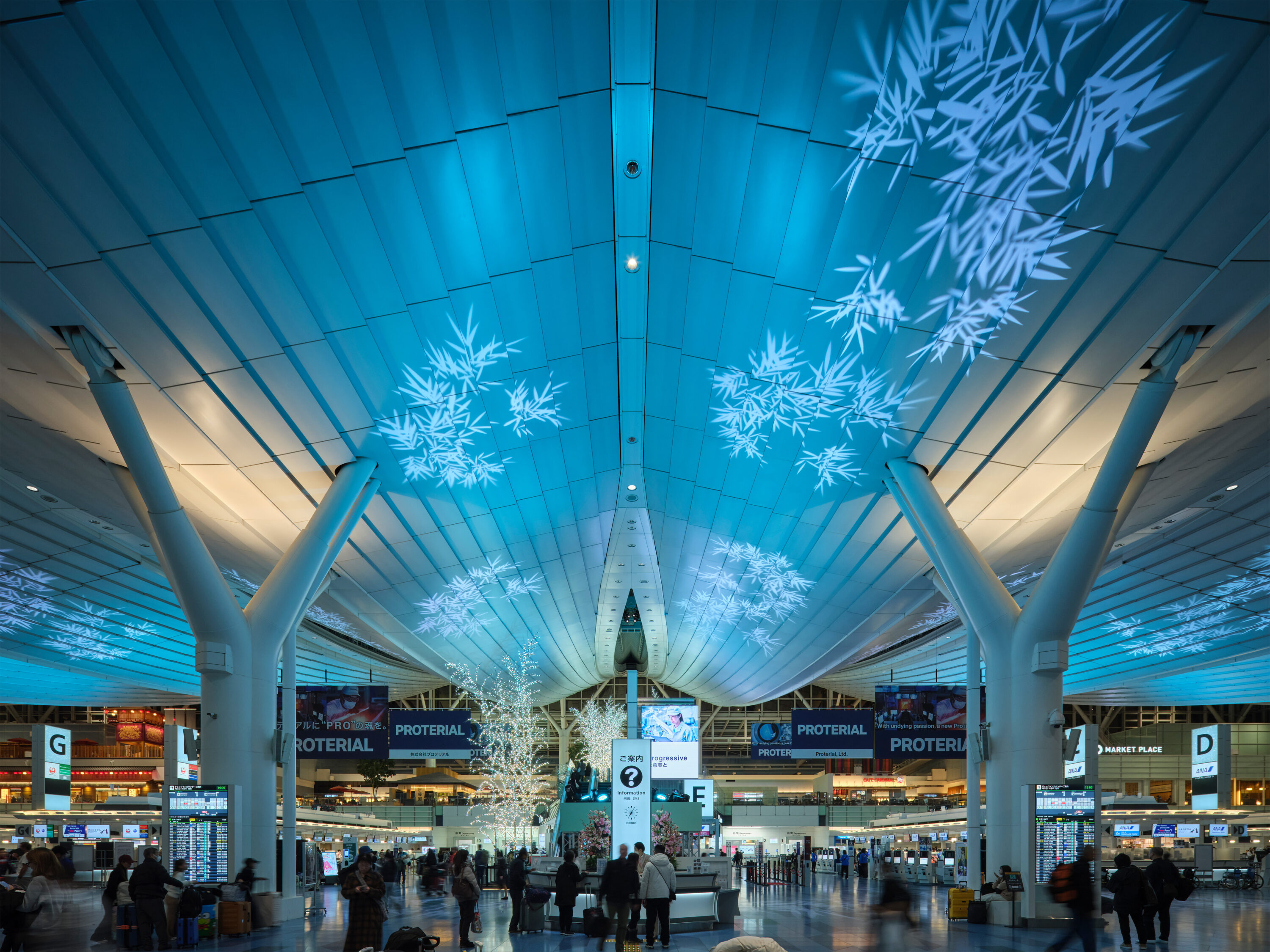 羽田 SKY illumination 2024 ～誰も見たことのない光～