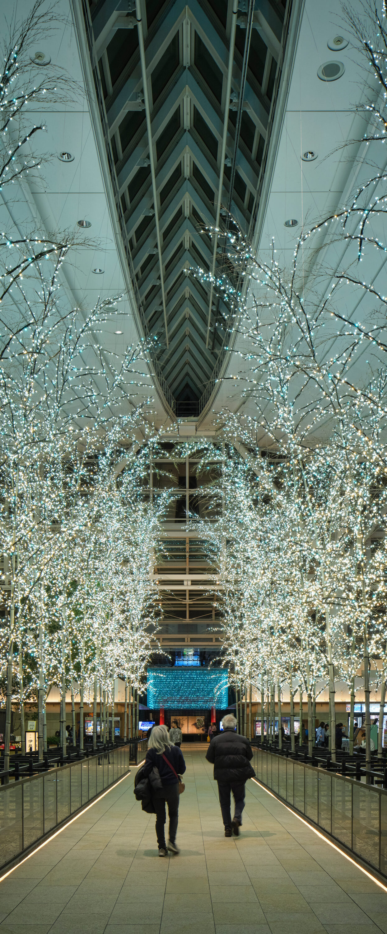 羽田 SKY illumination 2024 ~誰も見たことのない光~