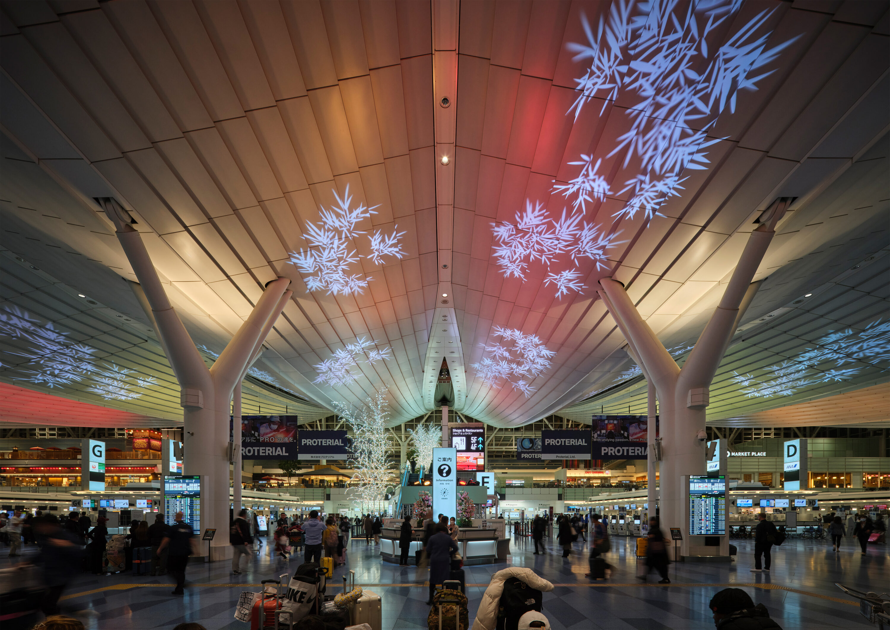 羽田 SKY illumination 2024 ~誰も見たことのない光~