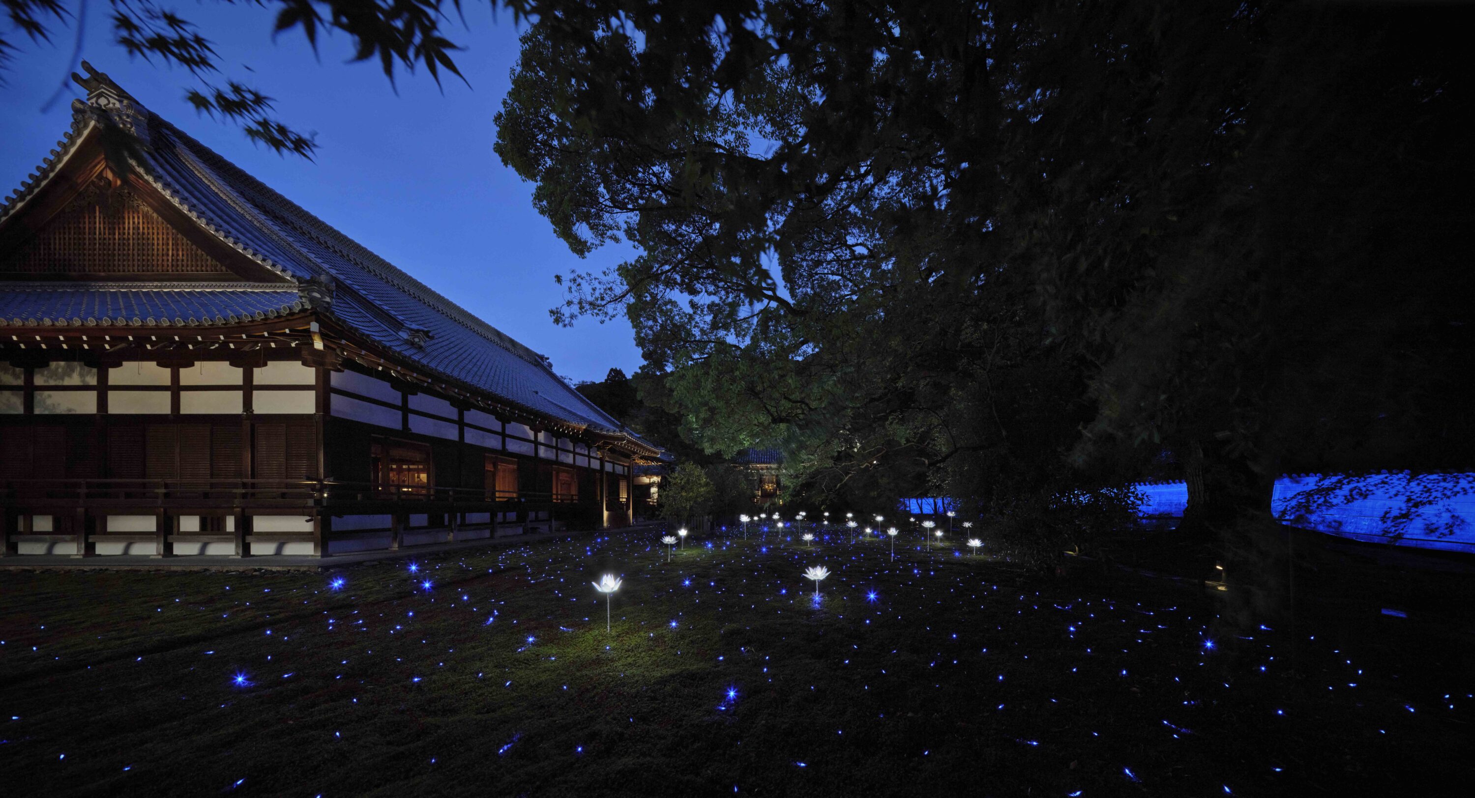 天台宗 青蓮院門跡 夜間の特別拝観(夏)