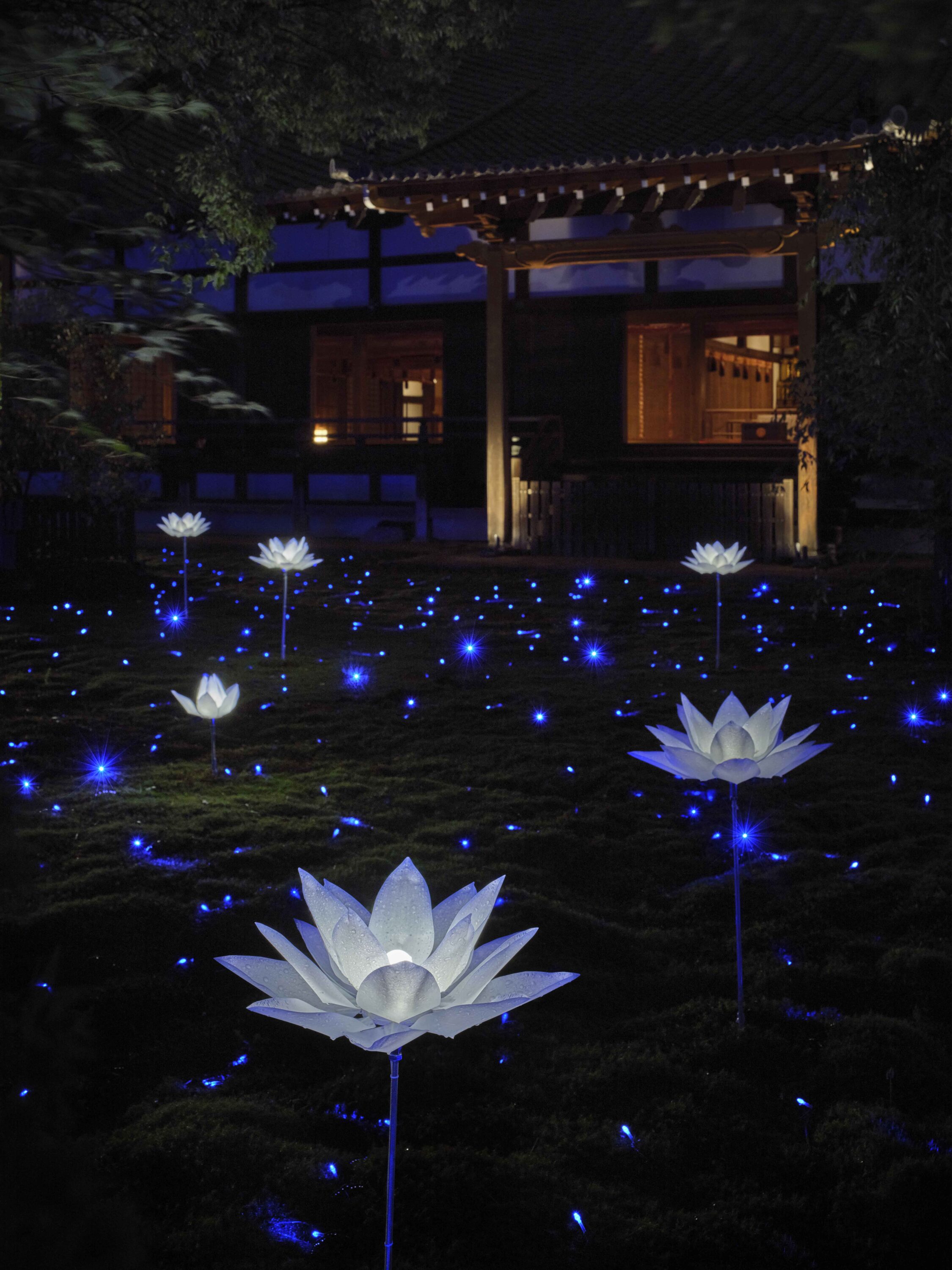 天台宗 青蓮院門跡 夜間の特別拝観(夏)