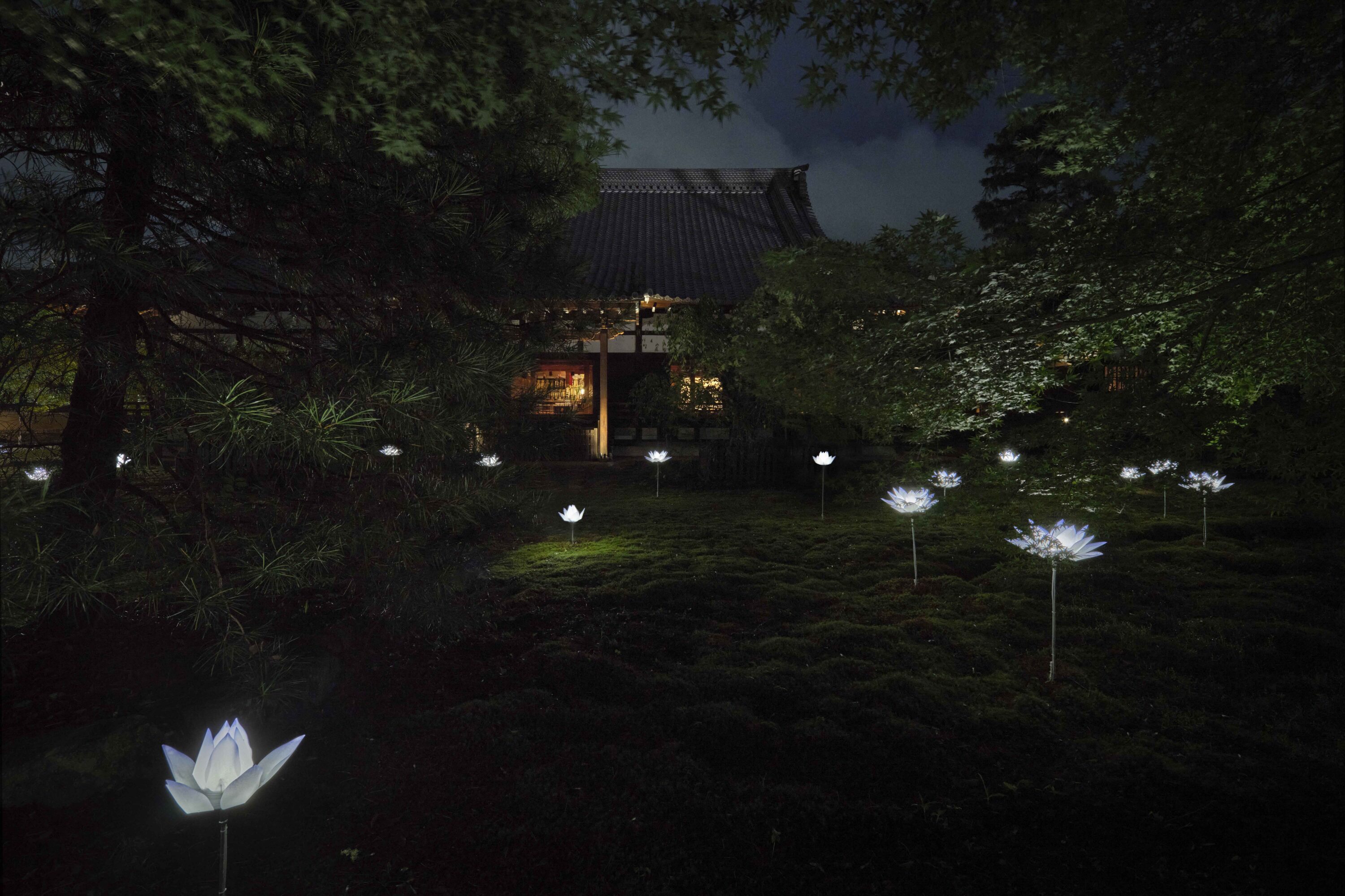 天台宗 青蓮院門跡 夜間の特別拝観(夏)
