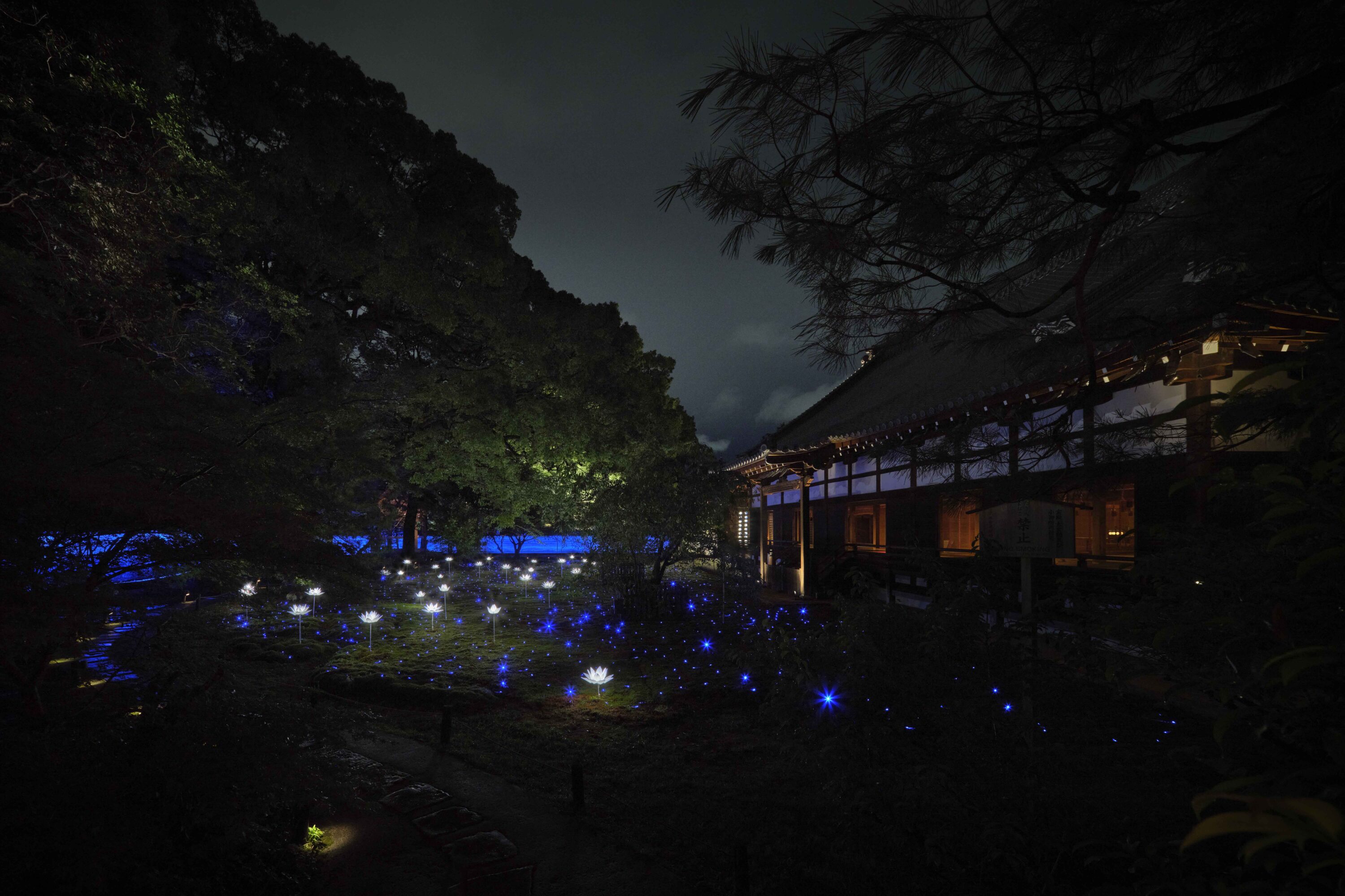 天台宗 青蓮院門跡 夜間の特別拝観(夏)