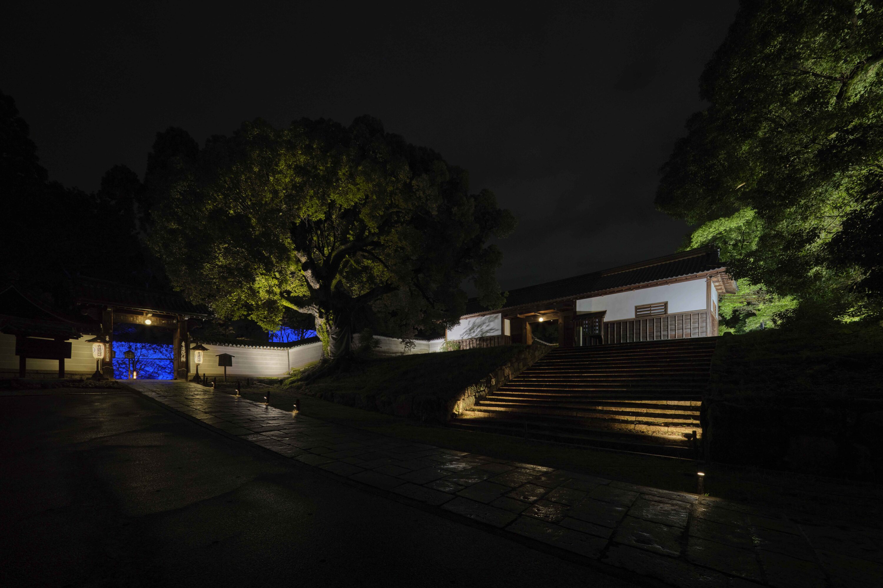 天台宗 青蓮院門跡 夜間の特別拝観(夏)