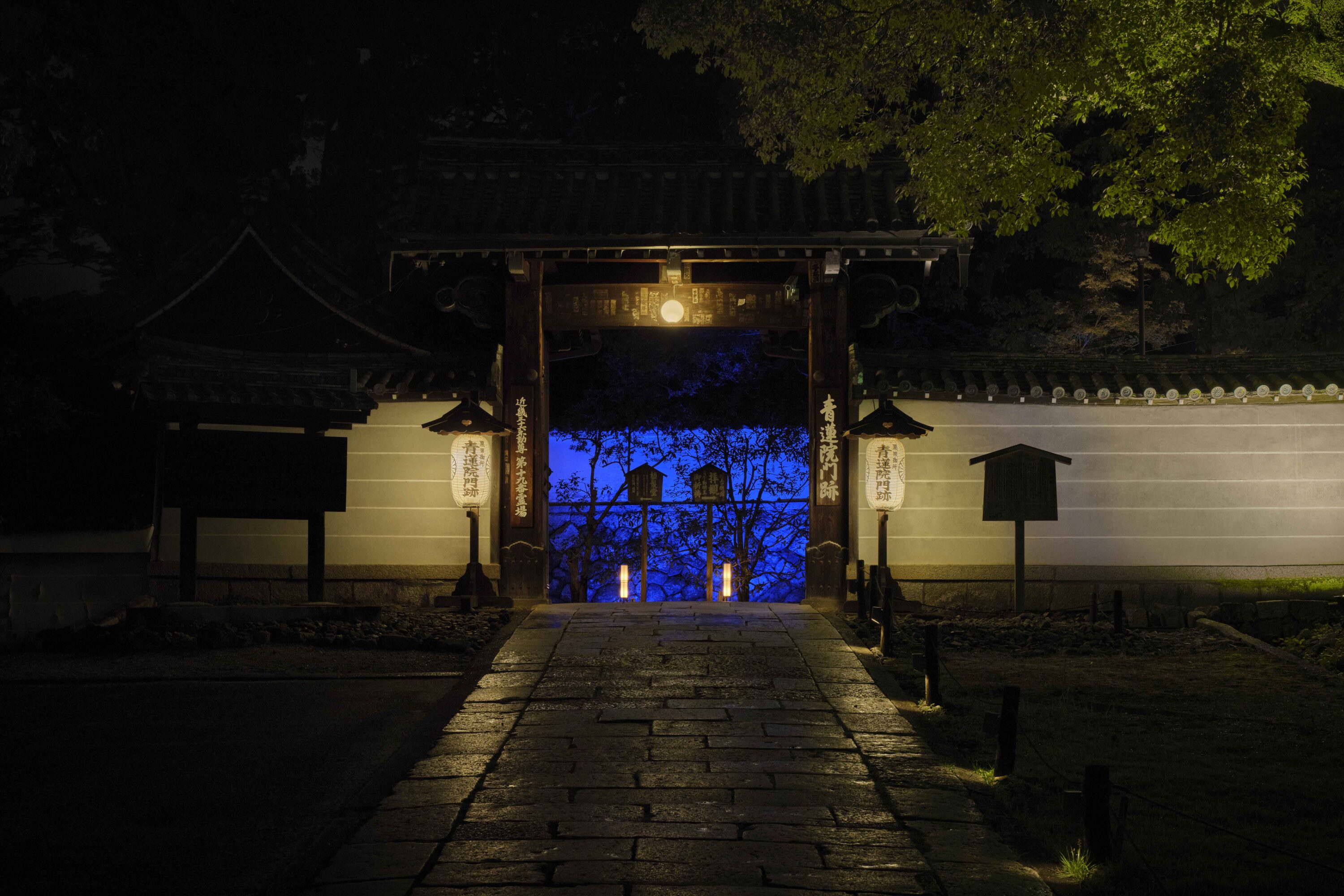 天台宗 青蓮院門跡 夜間の特別拝観(夏)